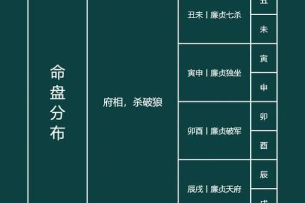 紫微斗数之子女宫与诸星，廉贞星在子女宫是什么意思？