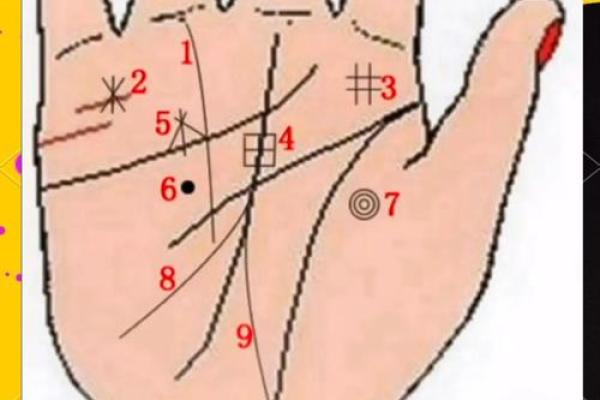 详细分析：手掌中的指纹预测算命，快来算算你的运势如何！