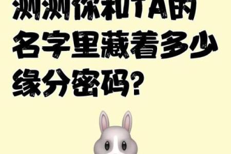 塔罗测试：感情中，你和TA之间还剩多少缘分？