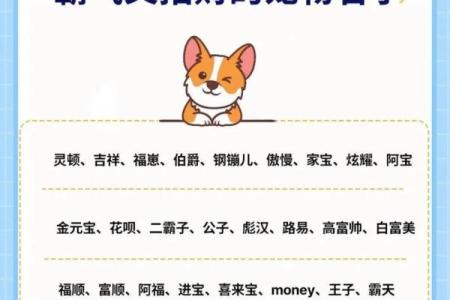 三月份出生的属狗男孩如何取名字姓名