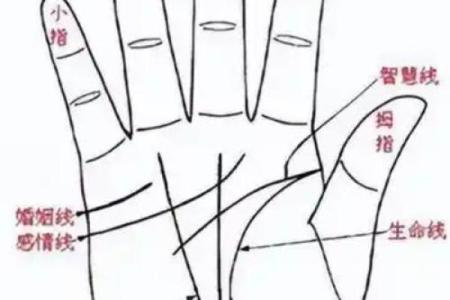 详细分析：手掌中的指纹预测算命，快来算算你的运势如何！