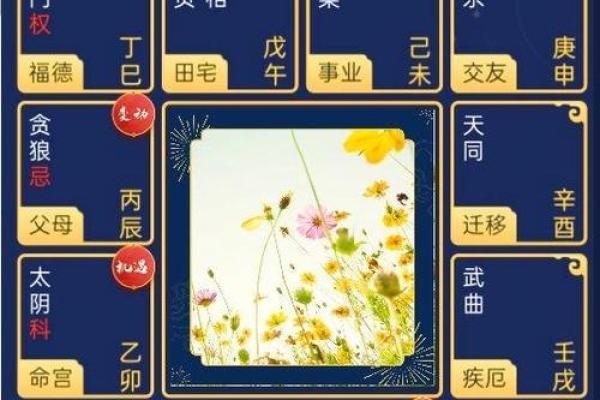 紫薇斗数排宫