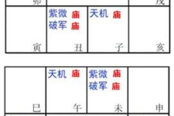 子时紫薇斗数