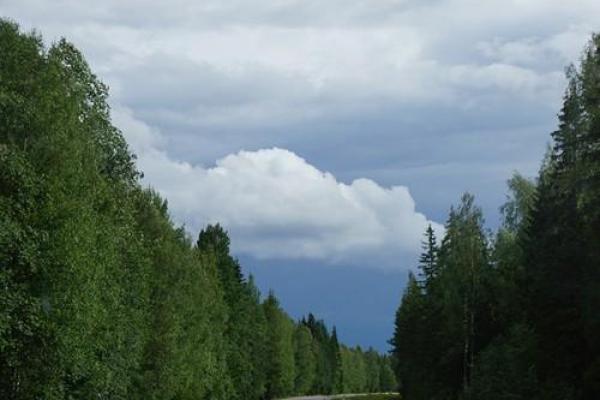 梦见算命的人来家中住