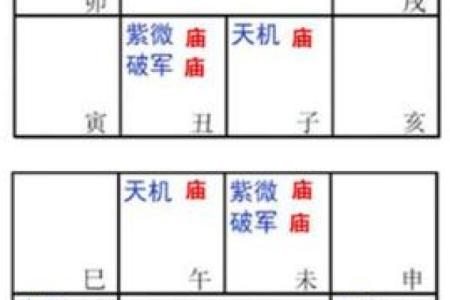 子时紫薇斗数