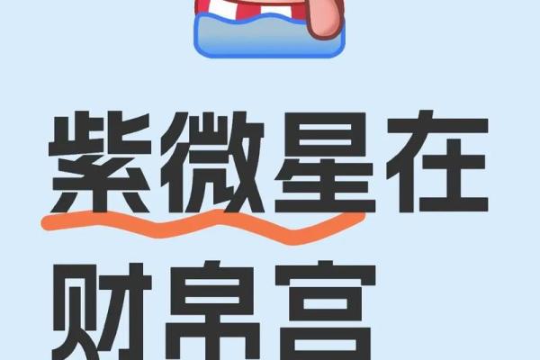 紫薇斗数博士入财帛