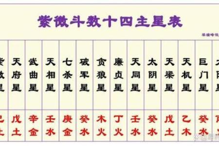 紫薇斗数预示什么