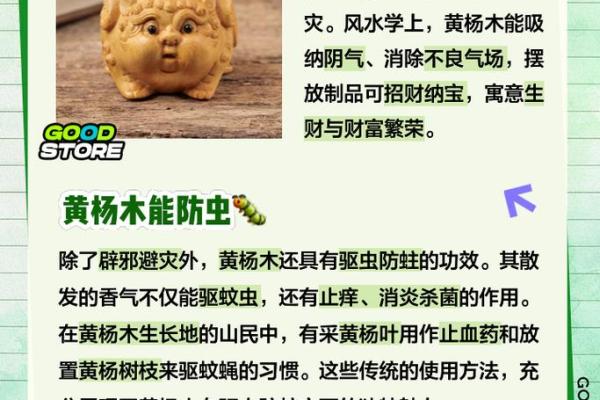 农村风水树有哪些禁忌及注意事项