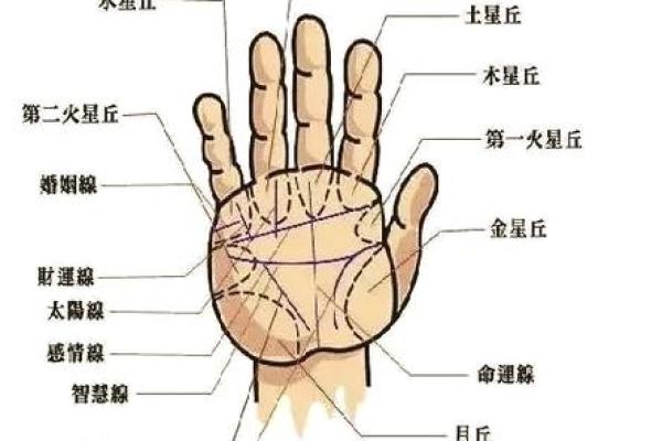 手相风水右手断掌的女人旺夫吗