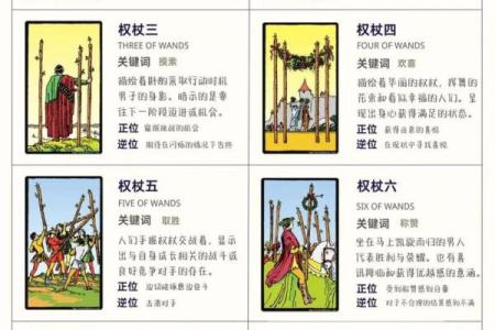 塔罗测试：什么职业适合你？