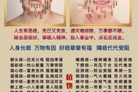 观音痣和美人痣的区别 观音痣是长在哪里