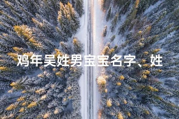 要怎么给早上出生的属鸡男孩取名字姓名