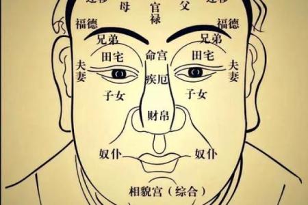 面部上的胎记算命分析