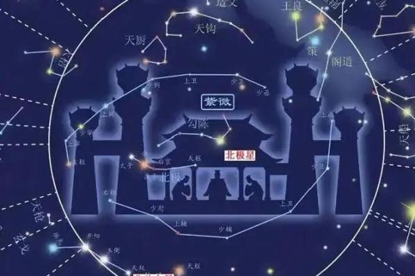 紫薇斗数的紫薇指什么 紫薇斗数的紫薇指什么