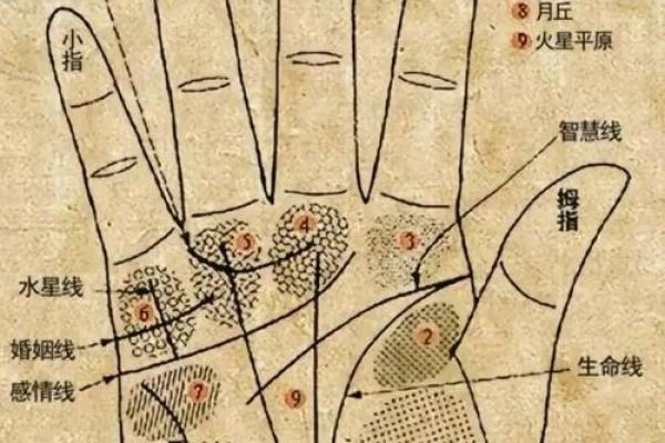男人看手相算命财运怎么看 男人手中钱财纹多最有钱 男人看手相算命财运怎么看 男人手中钱财纹多最有钱