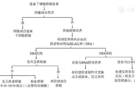 八字和白血病有关系吗大意不变