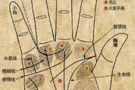 男人看手相算命财运怎么看 男人手中钱财纹多最有钱