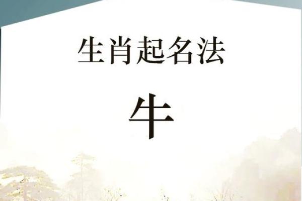 为晚上10点出生的属牛男孩取名字宜用什么字姓名