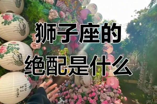 狮子座和什么星座最配 狮子座最配哪个星座 狮子座和什么星座最配 狮子座最配哪个星座