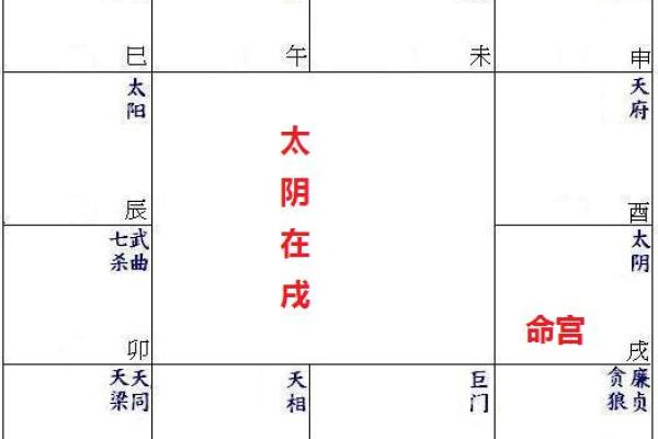紫微斗数太阴星详解