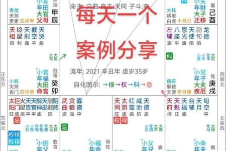 紫薇斗数怎样看二婚命