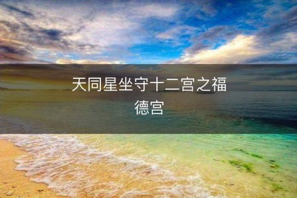 善良的紫薇斗数