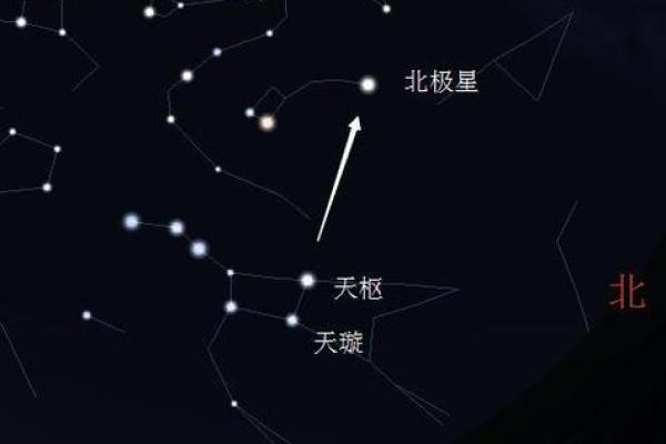 紫薇星北极星是什么龙