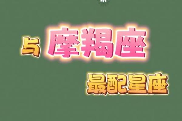 摩羯座最喜欢的5个星座 摩羯座最讨厌的5个星座