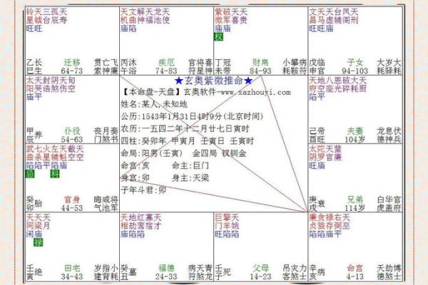青龙紫薇斗数命宫