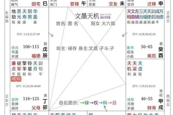 紫薇斗数紫薇梦