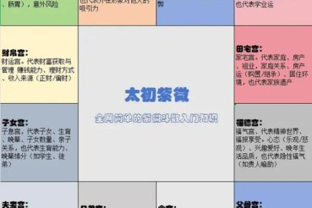 紫薇斗数如何判断性取向