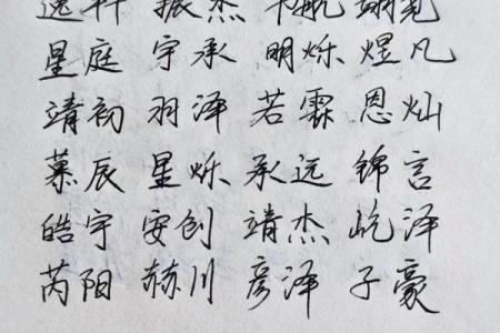 2019年4月22号子时出生的男孩应该起什么样的名字姓名