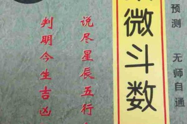 紫薇斗数全书在线阅读 紫薇斗数全书在线阅读