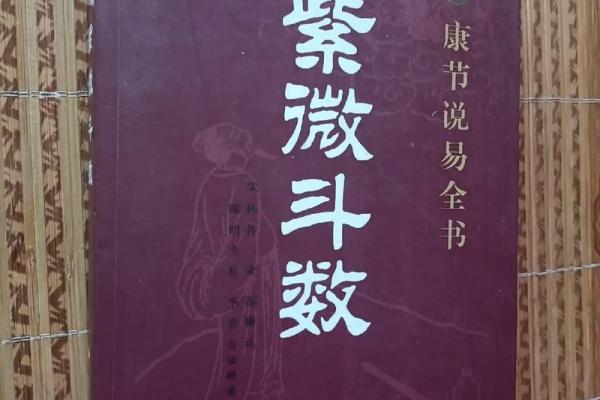 紫薇斗数全书在线阅读 紫薇斗数全书在线阅读