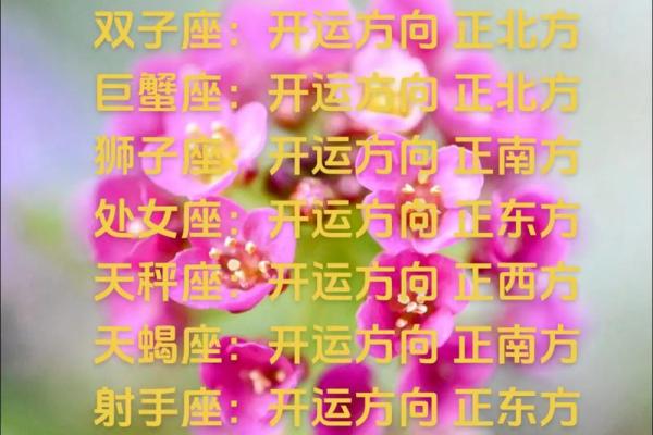 十二星座运势42