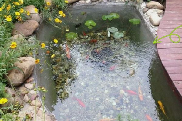 家庭鱼池风水 家庭鱼池风水摆放