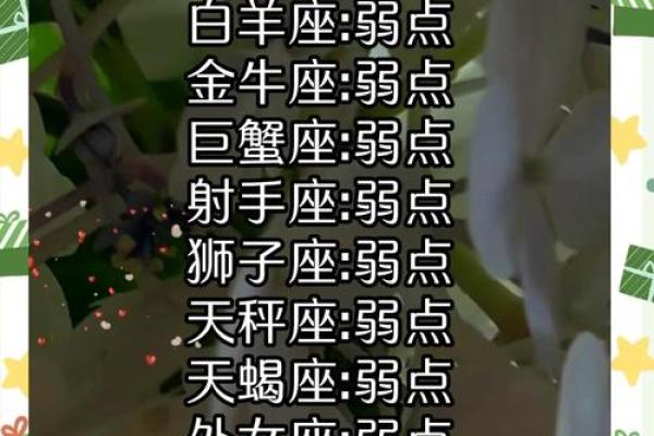 双子座最吸引哪几个星座男生 双子座最吸引哪几个星座男生