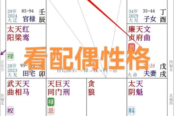 丁酉丙午癸酉丁巳,解析八字命盘的五行属性和性格特点 丁酉丙午癸酉丁巳,解析八字命盘的五行属性和性格特点