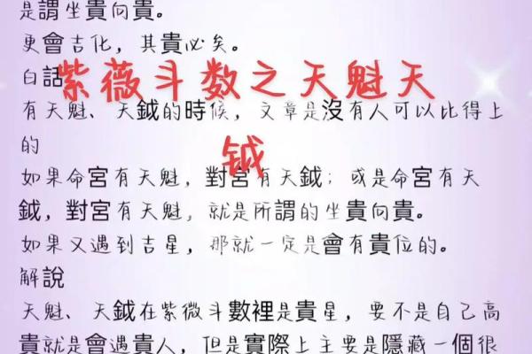 手机紫薇斗数app