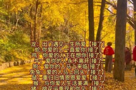 左上角点击测试姓名缘分 输入姓名测缘分？