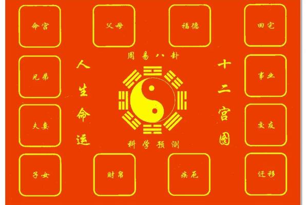 龙池紫薇斗数 龙池紫薇斗数