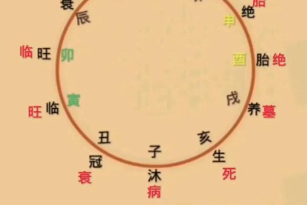 八字日干本性