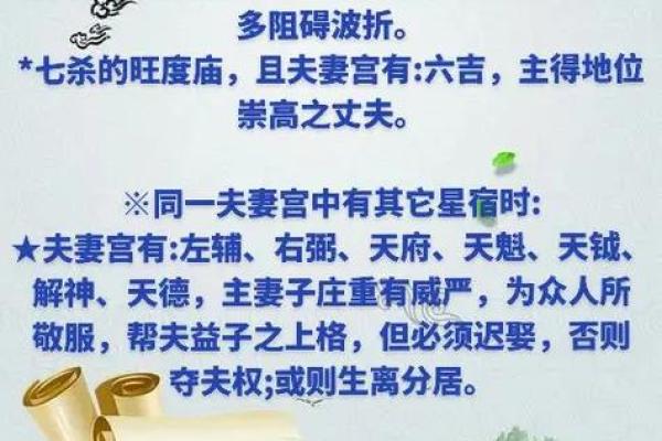 紫薇斗数感情分析