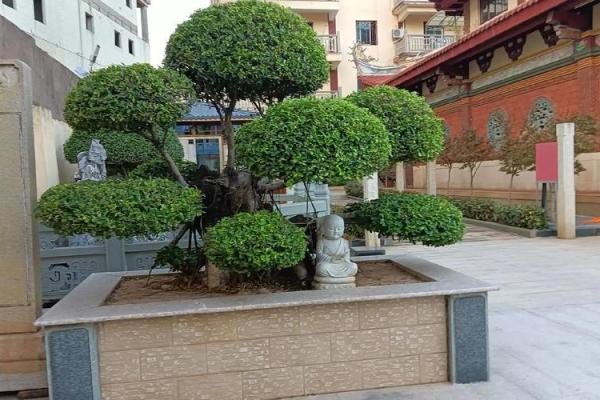 算命花园是什么 算命花园是什么