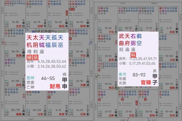 紫薇斗数看自己财富