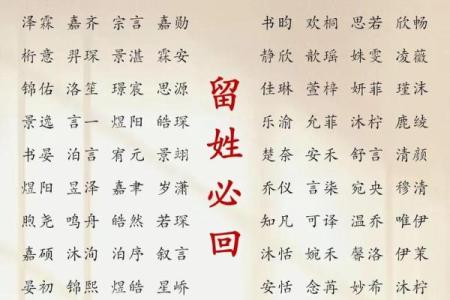 2019年3月17号未时出生的男孩应该起什么样的名字姓名