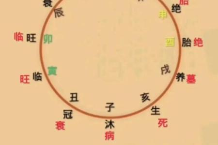 八字日干本性