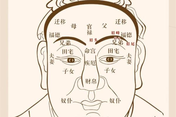 三角眉毛的面相算命图解
