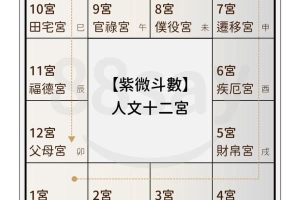 怎样看懂紫薇星盘 怎样看懂紫薇星盘