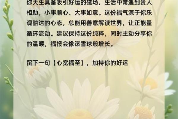 雏菊的星座特点及性格解析，你知道吗？